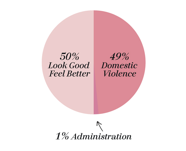 50% - Look Good Feel Better® 49% - Domestic Violence Resources 1% - Administration 
