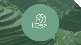 Environmental Sustainability