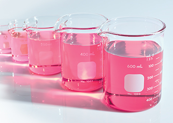 A picture of beakers filled with pink liquid
