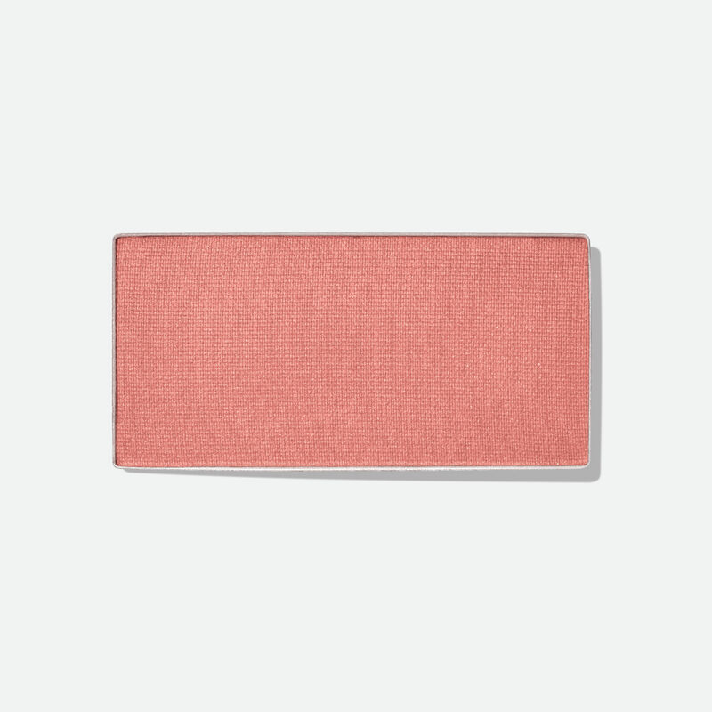 Mary Kay Chromafusionreg Blush Shy Blush