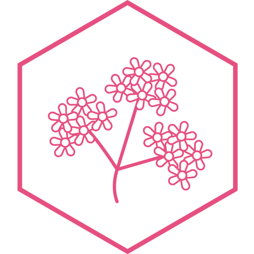 Ic&ocirc;ne de la fleur de verveine dans un hexagone rose