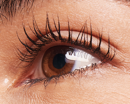 One coat of Lash Love Fanorama Define+Lift Mascara applied to lashes of a model with light skin tone