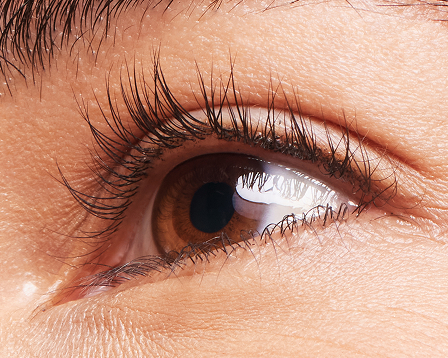 Close-up of a model&rsquo;s eye with a light skin tone, model&rsquo;s lashes do not have mascara applied.