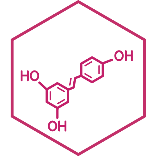 Encapsulated Reveratrol illustration.