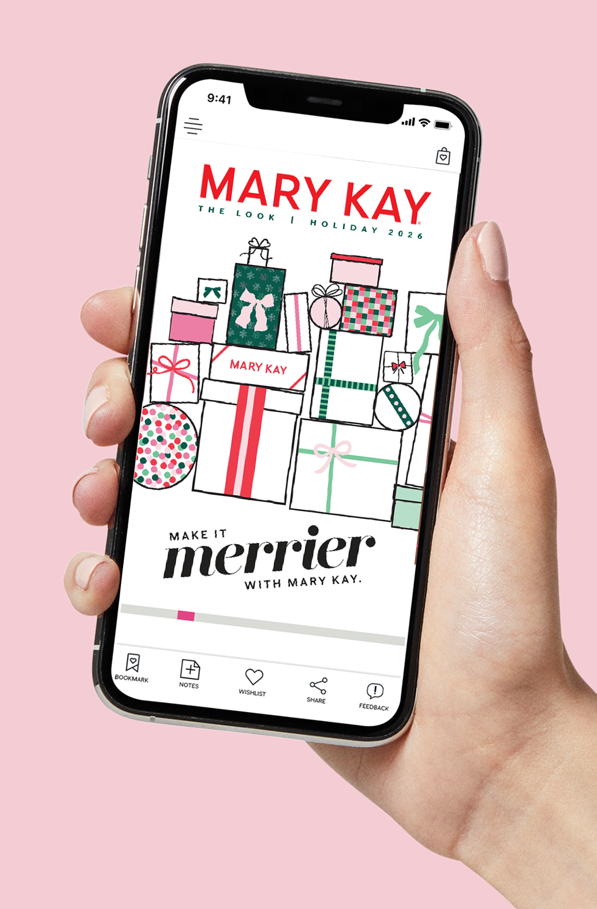 Hand hold the Mary Kay Look Book.
