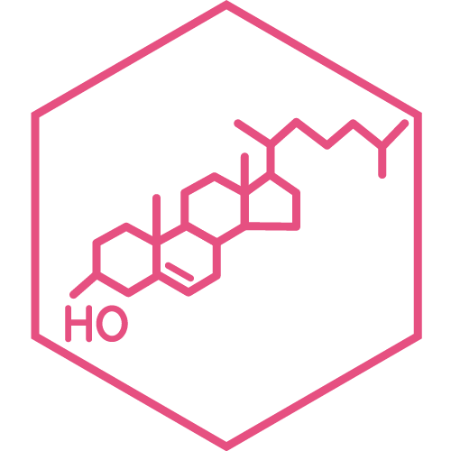 Cholesterol ingredient illustration